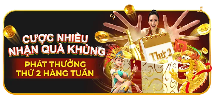 Chương trình VIP bet8s hiện đang mở