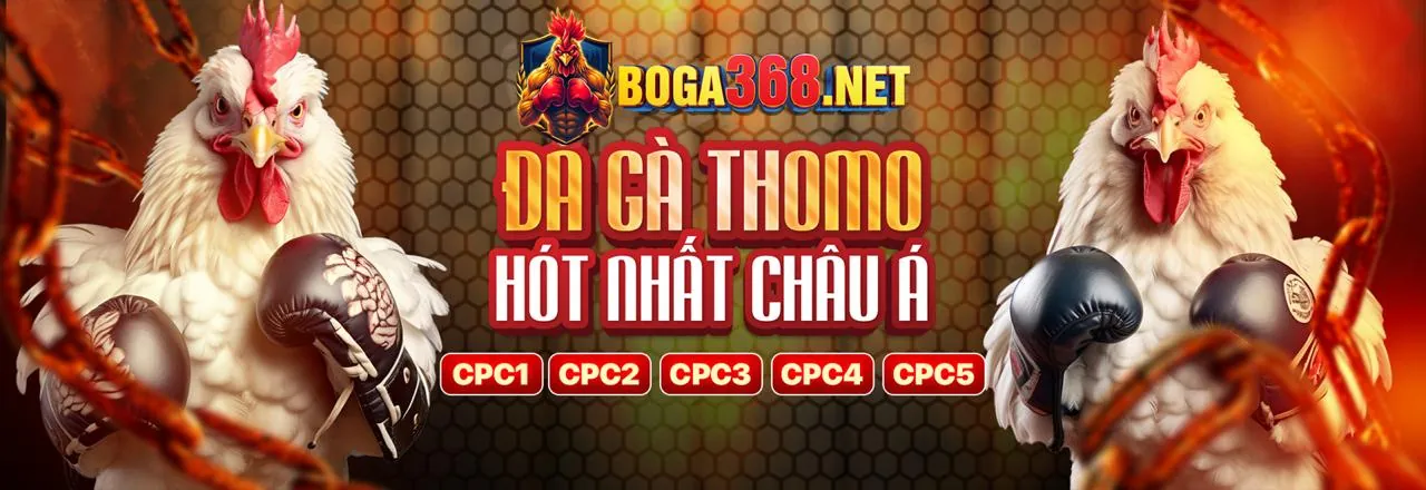 Đá gà trực tuyến kịch tính tại bet8s hiện đang mở