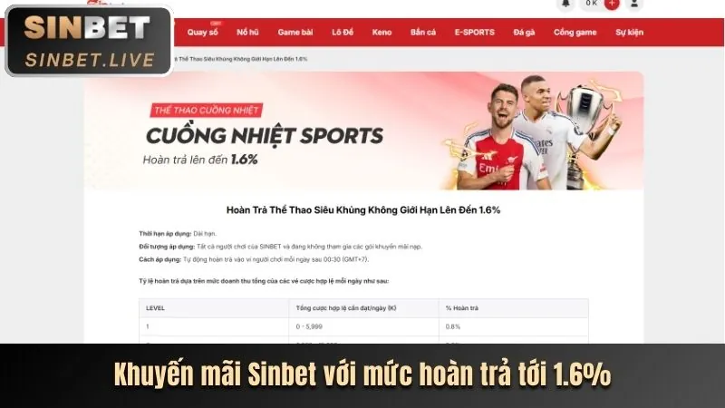 Sân vận động với các môn thể thao đa dạng cho cá cược tại bet8s